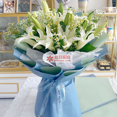 南阳8支白色多头百合洋甘菊，互倾的思念