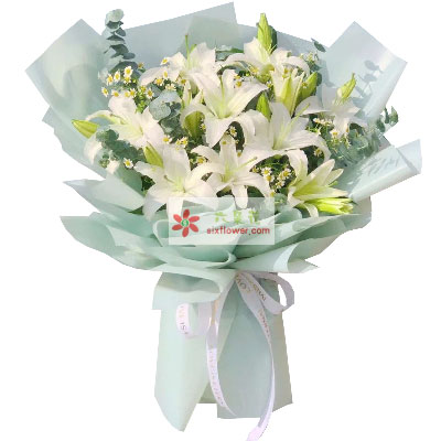 南阳6支白色多头百合，温馨的祝福