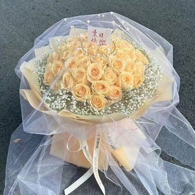 南阳52朵香槟玫瑰满天星，你就是我的全部