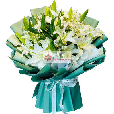 南阳8支白色多头百合洋甘菊，如潮的思念