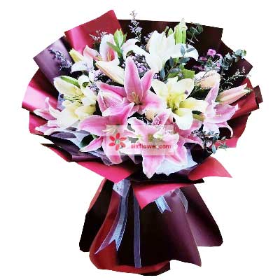 南阳8支百合花，天天开心