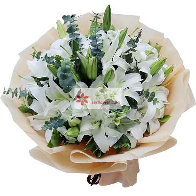 南阳9支白色多头百合，祝福你幸福